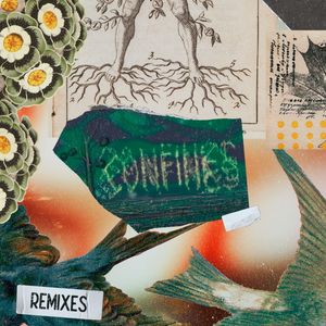 Tomando el Riesgo (Remix)