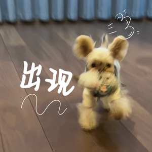 诺（Cover 李炜 杨洋）