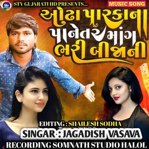 ઓઢી પારકાના પાનેતર માગ ભરી બીજાની