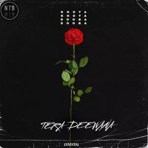 Tera Deewana