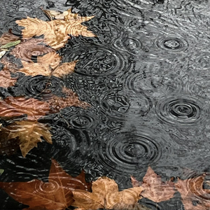 《我爱你中国》