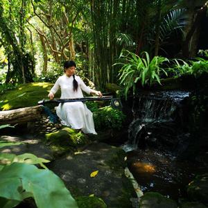 神人畅（古琴独奏）