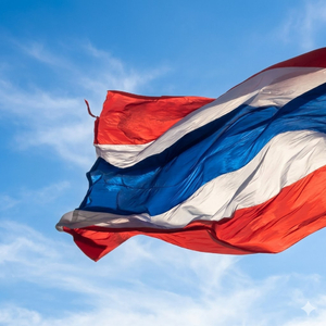 เพลงชาติไทย (Radio Edit)