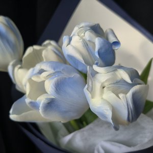 遇见你之前(Prod.RoyalBoyBrazy)