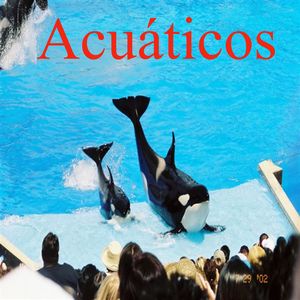 Acuáticos
