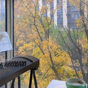 不期而遇的温暖 杜妮诺