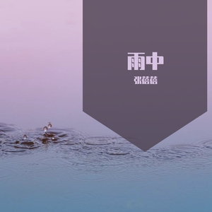 雨中（In The Rain)