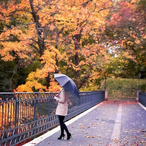 小説音楽シリーズ心のメロディー (feat. Cousuke) [kaisakuStudio ver]