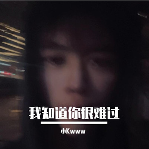 我知道你很难过