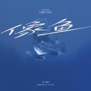 像鱼（男版2023）