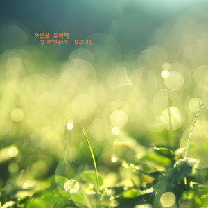 토끼 인형은 어디 갔을까