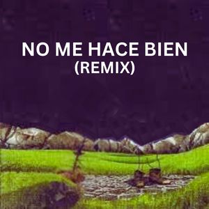 No Me Hace Bien (Remix)