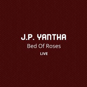 Bed Of Roses (Live)