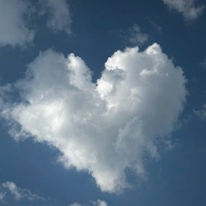 海と空と未来のパン(1)