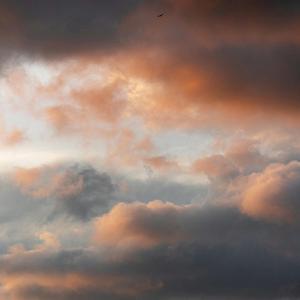 EVANESCENT