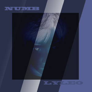 Numb麻木（prod.by ZS）