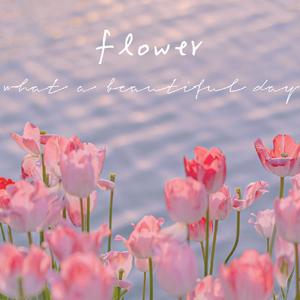 没什么大不了的