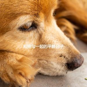 Superlative Ambience for Iconic Flashbacks