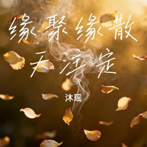 缘聚缘散天注定