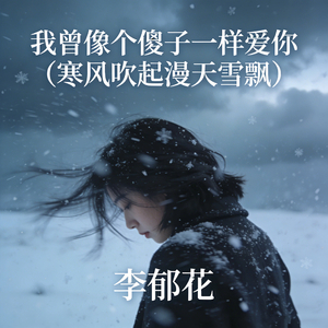 我曾像个傻子一样爱你（DJ空灵鼓）