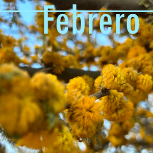 Febrero