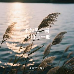不如见一面 哪怕是一眼