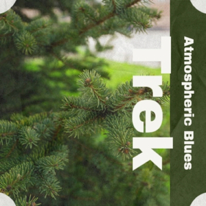 Buzzard Out the Window