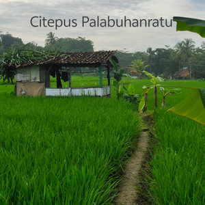 Citepus Palabuhanratu