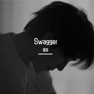 Swagger-抖音男版（翻自 莹酱）