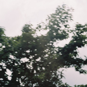 숲에서 바다에서