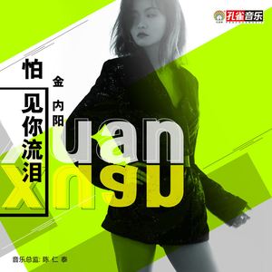 怕见你流泪