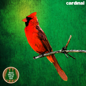 Cardinal