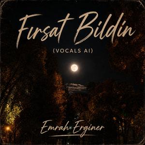 Fırsat Bildin
