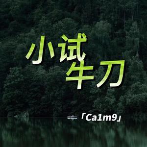 ENjOy IT（Calm9 remix）