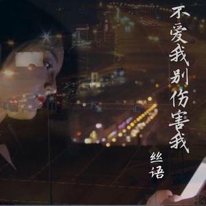 不爱我就别伤害我（DJ版）（翻自 叶筱萱）