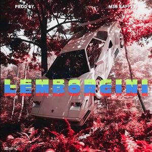 Lemborgini