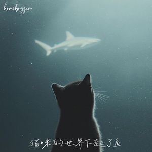 猫咪的世界下起了鱼