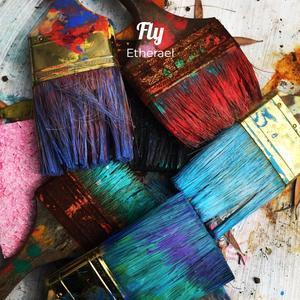 Fly