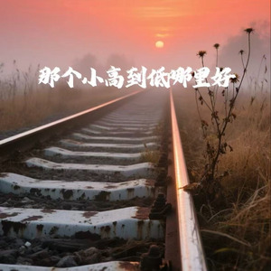 那个小高到底哪里好