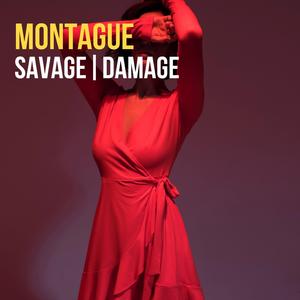 Savage | Damage