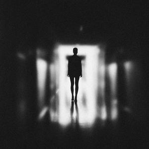 Shadows