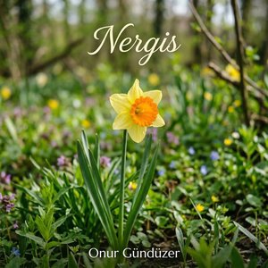Nergis