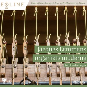 Sonate No. 1 en Ré Mineur « Pontificale »: I. Allegro moderato