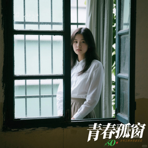 青春孤窗