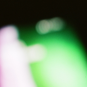 Le Silence Sous l'écorce