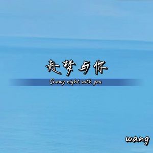 赴梦与你（Snowy night with you）