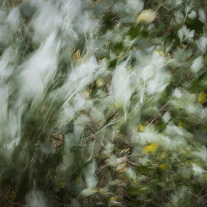 Jazz in Skärgården