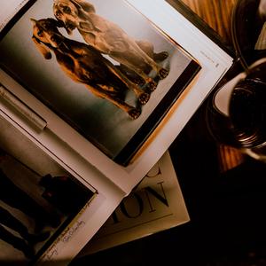 Santo Voy: Dean O´Banion 2020