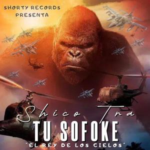 Tu Sofoke (El Papa De Los Snipes)