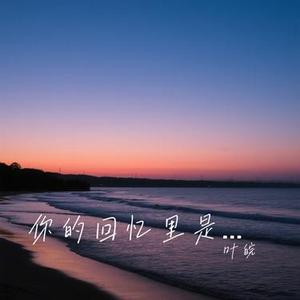 你的回忆里是否还有我 (Cover 洋澜一)